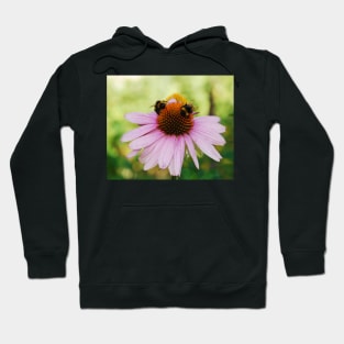 Echinacea Purpurea with Bees Hoodie